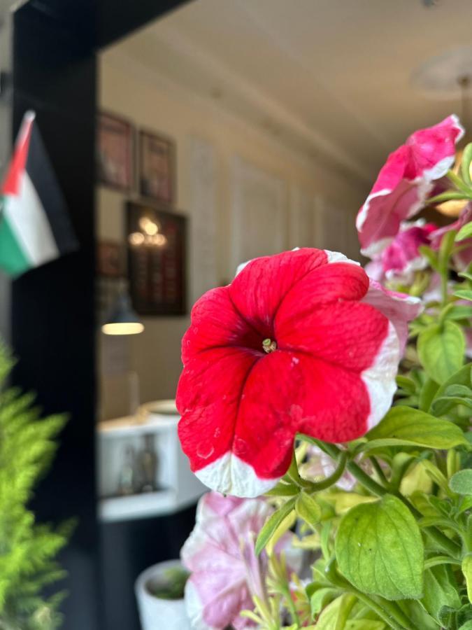 City Citadel Hotel,עמאן מראה חיצוני תמונה